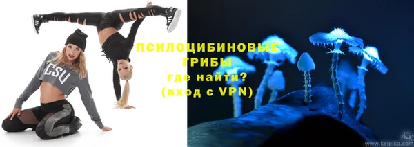 мдпв Бронницы