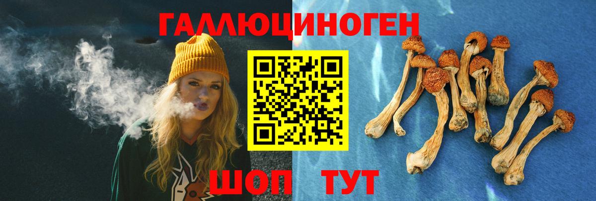 Псилоцибиновые грибы MAGIC MUSHROOMS  как найти закладки  Бузулук  Псилоцибиновые грибы мицелий  Вход с VPN 